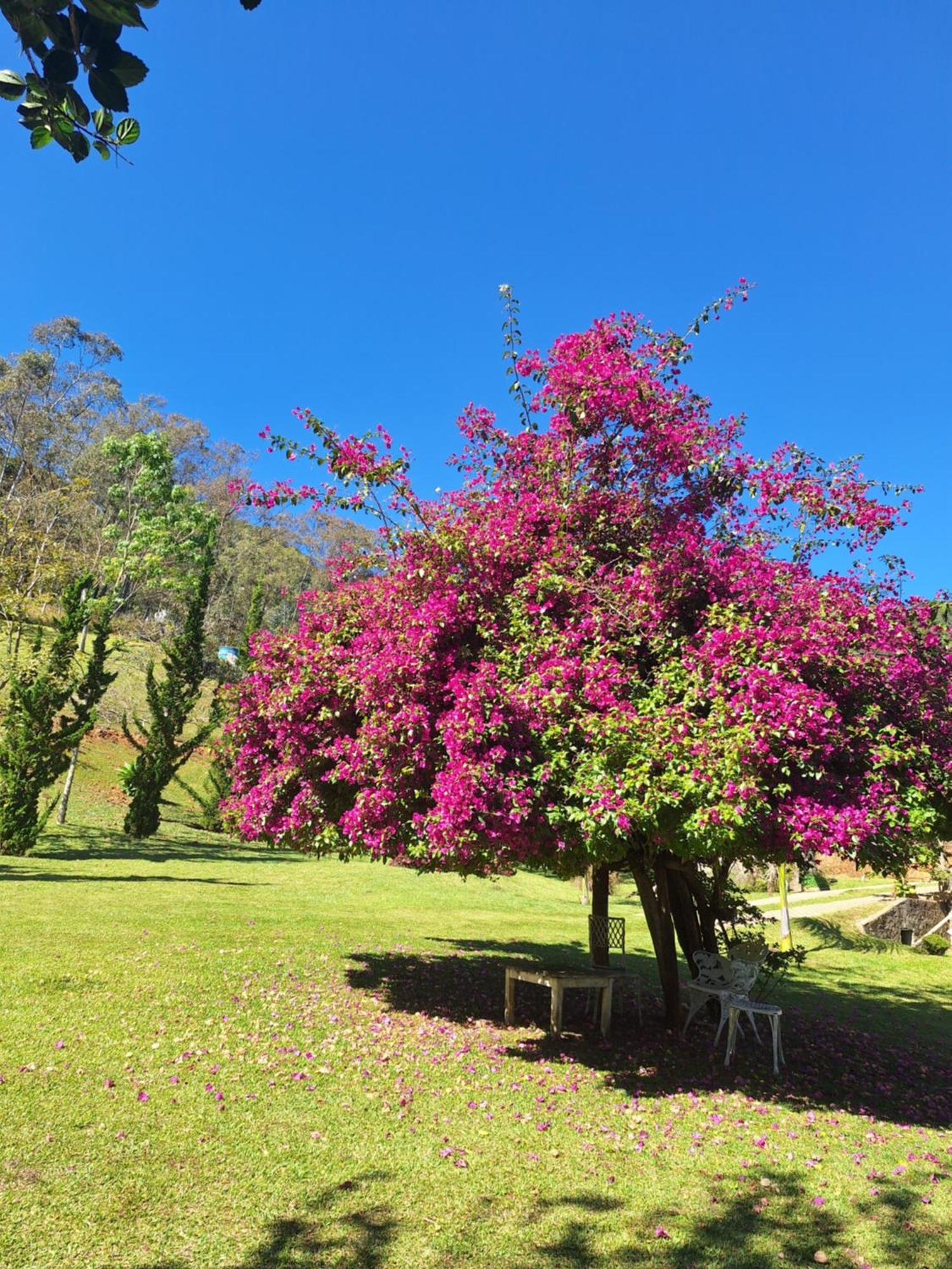 Pousada Vista Linda São Bento do Sapucaí Eksteriør bilde